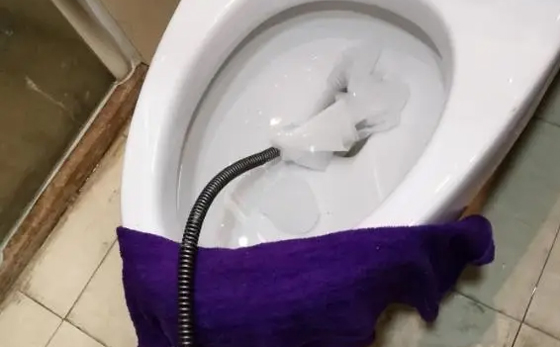 园林办事处马桶疏通